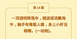 王者猜谜语第14题答案一顶透明降落伞随波逐流飘海中