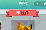 成语无限猜学童第2关答案  成语无限猜学童2答案