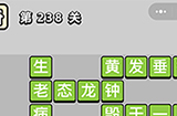 成语小秀才第238关答案  成语小秀才答案238关