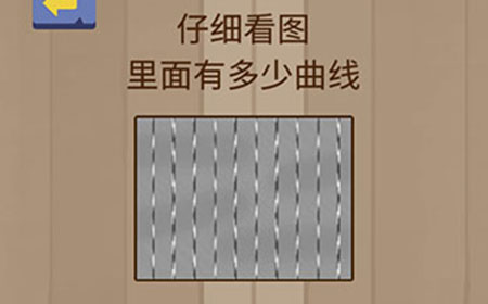 烧脑智力大乱斗第8关攻略  仔细看图里面有多少曲线