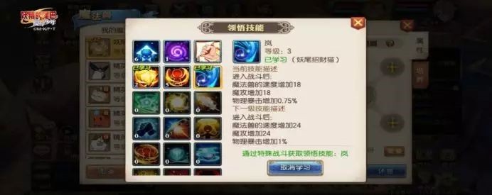 妖精的尾巴魔导少年瑞猫领悟什么技能好 妖精的尾巴魔导少年瑞猫领悟技能推荐