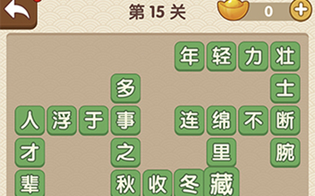成语大官人第15关答案  成语大官人答案15关
