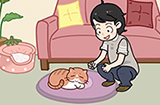 藏猫猫大作战攻略  藏猫猫大作战全关卡图文攻略