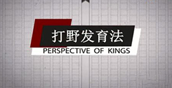 王者荣耀新版本打野怎么玩  打野玩法教学