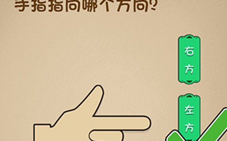 最强的大脑第7关攻略  手指指向哪个方向