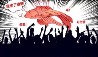 db3d78c170ae40d99c50672f0f27fcd3.jpeg